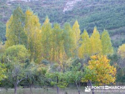 Cañones y nacimento del Ebro - Monte Hijedo;laguna grande gredos;senderismo segovia